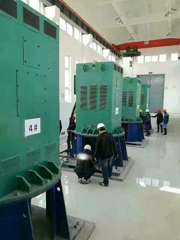 西峰某污水处理厂使用我厂的立式高压电机安装现场